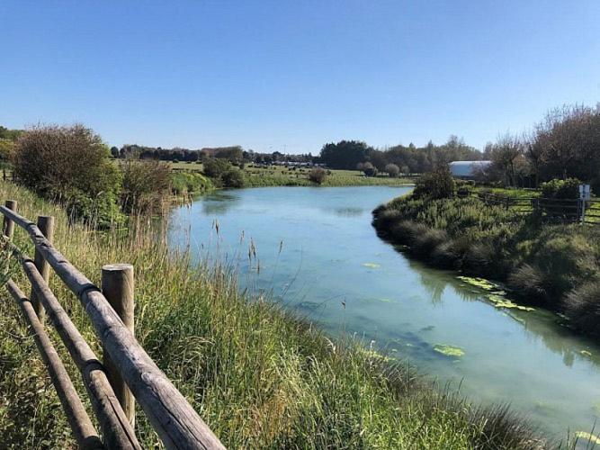 Le Cocon De Nacre - A 300M De La Plage - Wifi Courseulles-sur-Mer Bagian luar foto