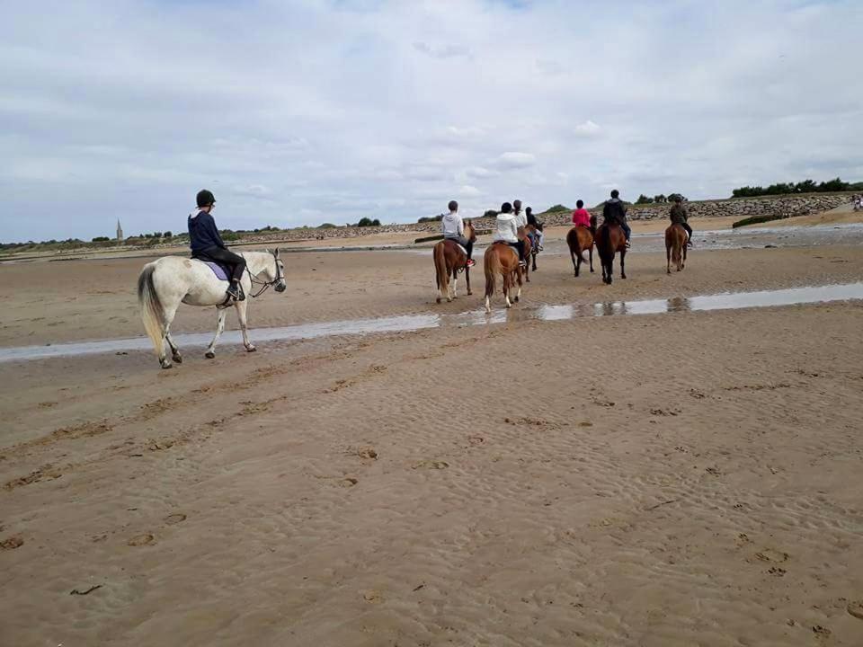 Le Cocon De Nacre - A 300M De La Plage - Wifi Courseulles-sur-Mer Bagian luar foto